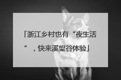 浙江乡村也有“夜生活”，快来溪望谷体验